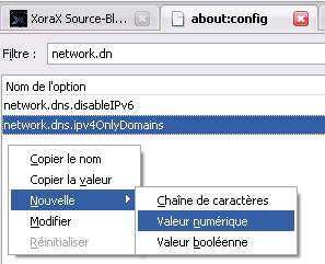 firefox cache dns